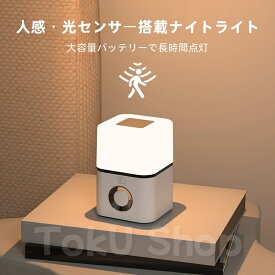 【数量限定・PSE充電器付】人感センサーライト LEDナイトライト 充電式 コンセント式 2WAY ダブルセンサー 自動点灯 足元灯 室内 廊下 寝室 クローゼット 吊り下げ おしゃれ 省エネ