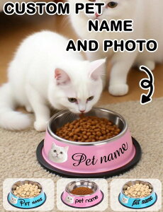 yIWit[h{Ezʐ^1EJbgAEgō閼ybgH^Iׂ2F×3TCY^L̊育͂M JX^Mtg LO v[gɂ