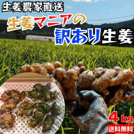 【期間限定割引】3300円→2600円農家直送 生姜マニアの訳あり生姜 4kg 高知県産 生姜 しょうが 訳あり 使いやすい 農家 国産 温活 野菜 料理 送料無料(北海道、沖縄除く)