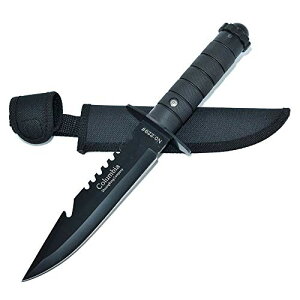 Dcenrun V[XiCt ToCoiCt oRiCt tBbVO Lv  o[xL[ R p[P[Xt