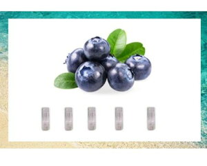 CHARMYv[ebNvXp J[gbW v[ebNvXp ݊J[gbW ݊ u[x[10{Zbg@\[@^[ jR`0@ploomtech plus