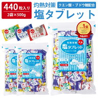 【 熱中症対策 】 たっぷり440粒入 塩タブレット 500g ( 500g×2袋 ) 塩分補給 3種のフレーバー レモン …