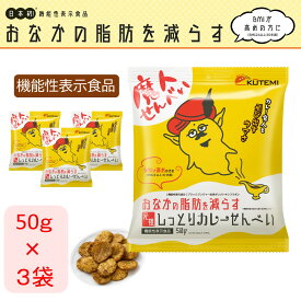 ＼3袋セット (50g×3)／ おなかの脂肪を減らす カレー せんべい ダイエット お菓子 おやつ 機能性表示食品 ダイエット BMI 楽して痩せたい ブラック ジンジャー ぬれせん しっとり ギフト プレゼント 生姜 肥満 健康 健康食品 カレー 父の日