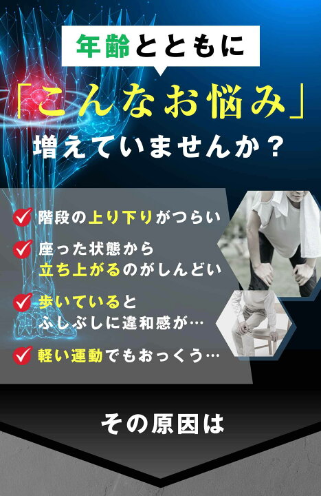 楽天市場】P+ プロテオグリカン 3袋 セット (1日3粒 約90日分) 生姜 