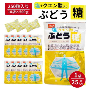 25NG_Ԃǂ ( 2.5g×25×10 ) Ԃǂ NG_  Ɩp  X|[c LfB l W[ d w w qǂ   