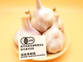 ニンニク 国産 徳之島 有機 JAS認定 島ニンニク 1Kg