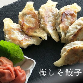 梅しそ 餃子 【10個】 パンパン餃子　ぎょうざ ギョウザ 皮 うすめ 生餃子 にんにくなし 総菜 パーティ 冷凍 国産素材 中華 点心 取り寄せ プレゼント おすすめ