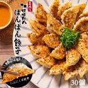 TVで紹介！ 今ちゃんの実は 手作り 餃子 にんにく不使用 【5〜6人前30個】 冷凍 お取り寄せ パンパン餃子 味噌だれ付き ニンニクなし 送料無料 ぎょうざ ギョーザ 餃子のたれ 人気 生餃子 総菜 パーティ 国産素材 中華 点心 おすすめ 暑中見舞い