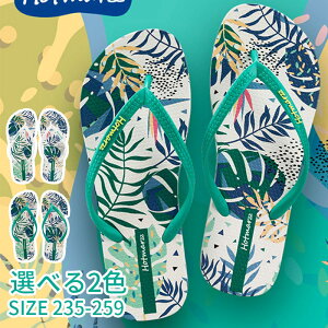 gOT_ fB[X r[`T_ tbgT_ gO^Cv T_ [V[Y V[T_ ᔽ NbV  tp ėp ~ _炩 p Z