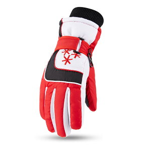  ̎q j̎q O[u XL[O[u Xm[{[h ~ AEghA 5{w X|[c XL[ Xm[{[h ~ ܂ ϋv ŋ EGA h h ʋC N g Wj