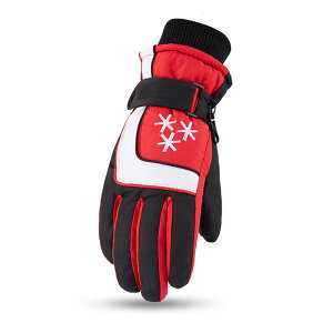  ̎q j̎q O[u XL[O[u Xm[{[h ~ AEghA 5{w X|[c XL[ Xm[{[h ~ ܂ ϋv ŋ EGA h h ʋC N g Wj