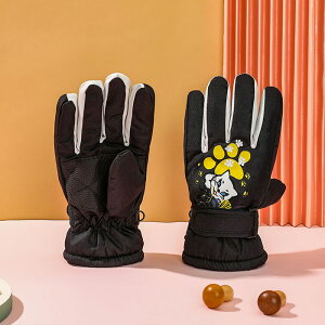  ̎q j̎q O[u XL[O[u Xm[{[h ~ AEghA 5{w X|[c XL[ Xm[{[h ~ ϋv ŋ EGA h h ʋC N g WjA ub