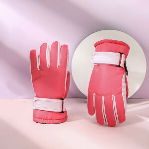  ̎q j̎q O[u XL[O[u Xm[{[h ~ AEghA 5{w X|[c XL[ Xm[{[h ~ ܂ ϋv ŋ EGA h h ʋC  N g 