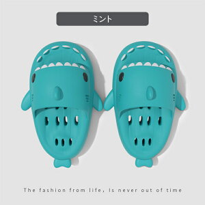 Xbp Y fB[X V[T_ yAbN V[Y r[`T_   ~ Jbv t  H ~  V[Xbp T sN u[ CG[ _