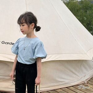 TVc LbY   ̎q TVc  ĕ q Rbg JWA TVc [EFA  ʉ ʊw vI[o[ w n N[lbN x[W sN u