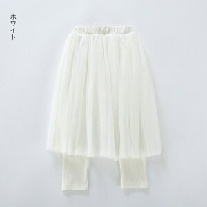 LbY XJbc `[ `[XJ[g MX pc Y{ ڂ MXJ[g  xr[ H ۈ牀 ct ʊw q ʉ WjA  Ǝ t H ̎q 