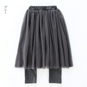 LbY XJbc `[ `[XJ[g MX pc Y{ ڂ MXJ[g  xr[ H ۈ牀 ct ʊw q ʉ WjA  Ǝ t H ̎q 