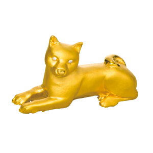 y͖{X z[ Gu ] K24 u   Y q?h    Ε N 