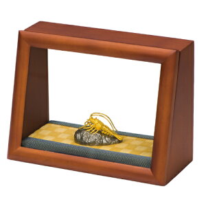 y͖{X z[Gup X[vBOX]upP[X  KX AN