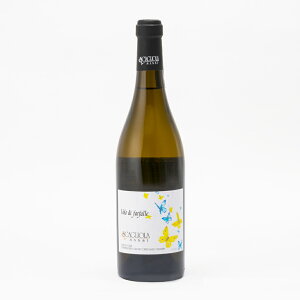 XJ[g _XeB HEfBEt@t@b XJI[ C Ì A t̉ 750ml C^A G~A }[j Xp[NO