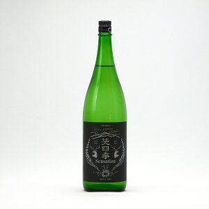 ΎlG Sensation ZZ[V  ubN 2024-2025 50 肪  1.8L 1800ml ΎlG ݂ { ꌧ yĊ①֐z| Mtg Ε v[g lC ސEj ̓