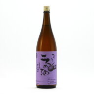 びわ湖梅酒 ブランデー入 1.8L 1800ml 太田酒造 琵琶湖梅酒 滋賀県 道灌 琵琶湖栗東ワイナリー