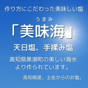 楽天市場 天日塩 美味海 うまみ 500g 1点 手揉み塩 海水100 塩 高知県産 国産 日本製 チャック仕様 送料無料 メール便 生活館
