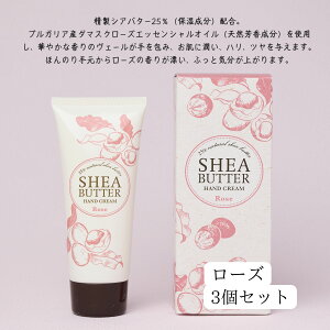 ̖؁@VAo^[nhN[@[Y@x_[@60g@{@zEpxih܁jEVRsgp