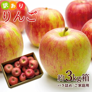  Tӂ 3kg ol R`Y ь S ӂ tW  󂠂