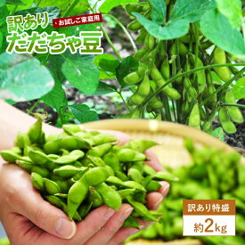 だだちゃ豆 枝豆 豆 2kg 訳あり ご家庭用 えだまめ エダマメ 産直 山形産 ワケアリ 大盛り たっぷり 食べ放題