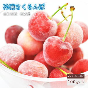  ƒp  R`Y _CpbN 100g 2 TN{ Ƃɂ R` Yn 