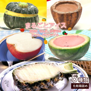 ACX v[g ̓ Mtg 킢 蕨 ڂ XCJ  pCibv JJI 5  `R VR o^C ̓ q̓ w  lߍ킹 t[c 