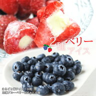 2種 ベリー アイス セット 苺アイス10粒 と ブルーベリー100g4個 化粧箱 ギフト 冷凍 国産 いちご イチゴ…