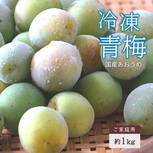 sⓀt~ Bi 召 1kg ~p̔~̎ ~W[XɂIXXI~̎ ~ ~ ~ ~̔~ ~p Yn PiyⓀցz