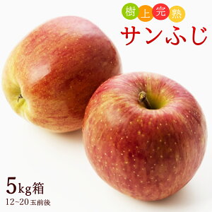 S ь x Tӂ 5kg 12-20ʑO  ь ӂ tW S R`Y Y Y 