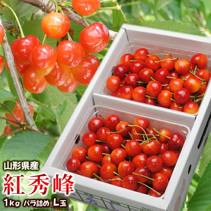 楽天市場】紅秀峰 さくらんぼ 山形県産 フルーツ 約1kg L サイズ バラ 