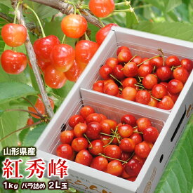 さくらんぼ 紅秀峰 大粒 山形県産 約1kg 2L サイズ バラ詰め 化粧箱 産直 サクランボ チェリー 産地直送 甘い 送料無料