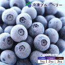 ブルーベリー 冷凍 冷凍ブルーベリー 約1kg ベリー 冷凍果実 フルーツ 果物 くだもの 送料無料