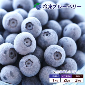 ブルーベリー 冷凍 冷凍ブルーベリー 約1kg ベリー 冷凍果実 フルーツ 果物 くだもの 送料無料