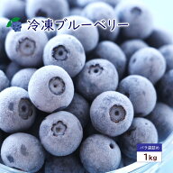 ブルーベリー 冷凍 冷凍ブルーベリー 約1kg ベリー 冷凍果実 フルーツ 果物 くだもの 送料無料