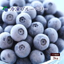 冷凍 ブルーベリー 冷凍ブルーベリー 約3kg 大容量 ベリー 冷凍果実 フルーツ 果物 くだもの 送料無料