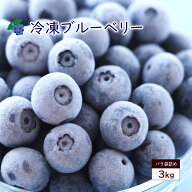 冷凍 ブルーベリー 冷凍ブルーベリー 約3kg 大容量 ベリー 冷凍果実 フルーツ 果物 くだもの 送料無料