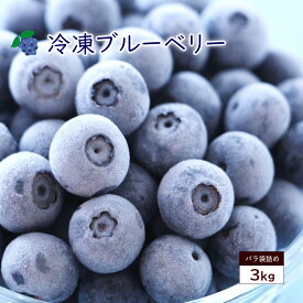 冷凍 ブルーベリー 冷凍ブルーベリー 約3kg 大容量 ベリー 冷凍果実 フルーツ 果物 くだもの 送料無料