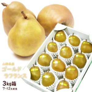 m  Ȃ 悤Ȃ S[h tX 3kg ϔ 7-12ʓ R` Mtg  Y  Ε i Mtg v[g ʎ  t[c 