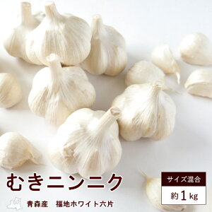 ɂɂ XY K[bN I ނ iEj1kg TCY sI jjN f