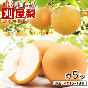   a R`Y 5kg 16-18 Ȃ iV Yn t[c ʕ 