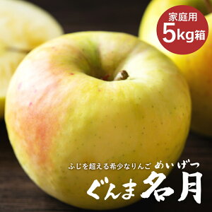 産地直送 ぐんま名月 ご家庭用約5キロ (10玉から20玉) 送料無料 林檎 りんご リンゴ めいげつ