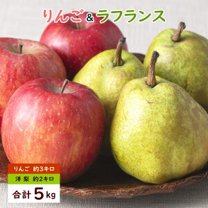 t[c  m tX Zbg m ~o 󂠂 p  Tӂ 3kg tX 2kg v5kgO ь  S miV 