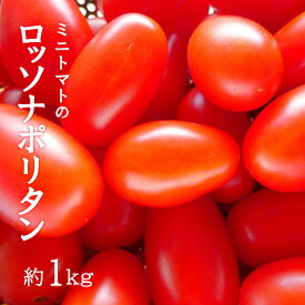 ミニトマト ロッソナポリタン 1kg イタリアントマト フルーツトマト 高糖度トマト とまと 山形県産 8月初旬から発送