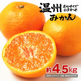 温州みかん　約4.5kg　バラ詰め 産地箱 訳あり 家庭用 産地・品種・サイズおまかせ！甘酸っぱいミカンをお届け致します